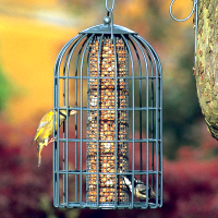 Caged Bird Feeders
